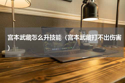 宫本武藏怎么升技能（宫本武藏打不出伤害）