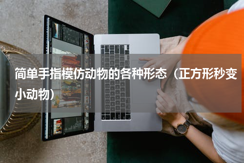简单手指模仿动物的各种形态（正方形秒变小动物）