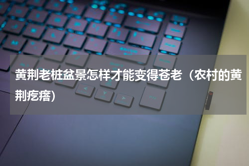 黄荆老桩盆景怎样才能变得苍老（农村的黄荆疙瘩）