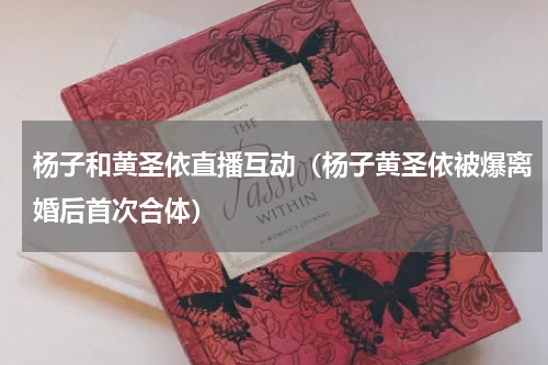 杨子和黄圣依直播互动（杨子黄圣依被爆离婚后首次合体）